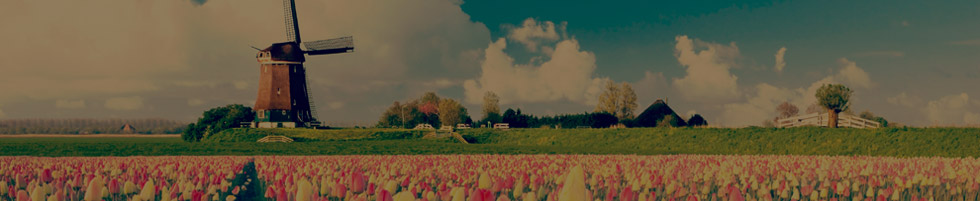 Study in the Netherlands